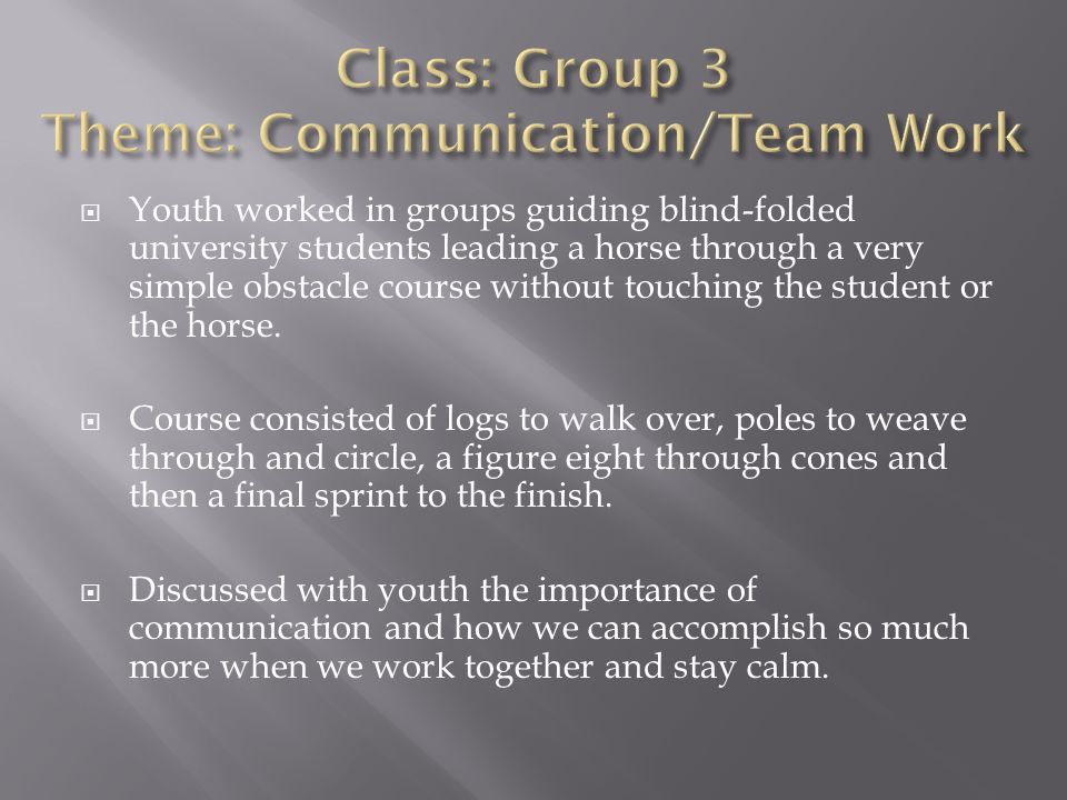  Youth worked in groups guiding blind-folded university students leading a horse through a very simple obstacle course without touching the student or the horse.