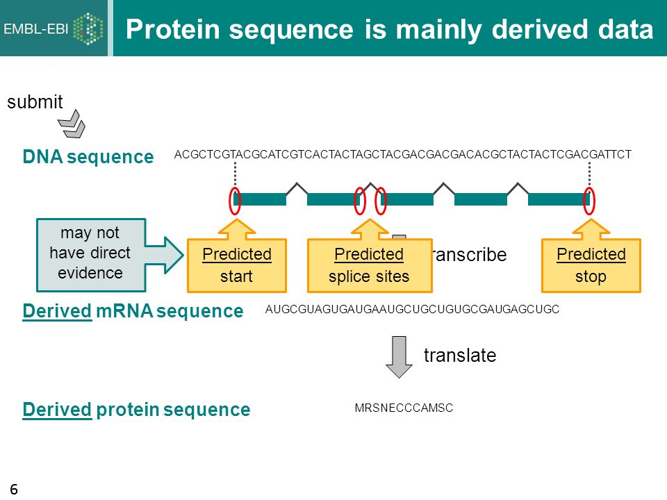 Derived перевод. Protein sequence. Data sequence.