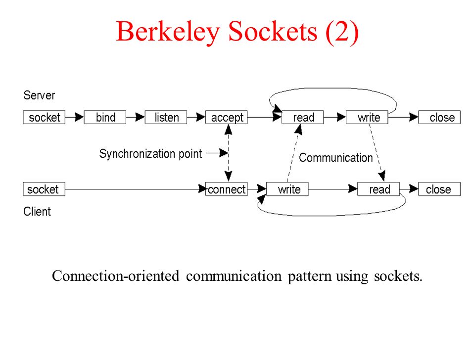 Aim 2024 Berkeley Sockets Truda Hilliary