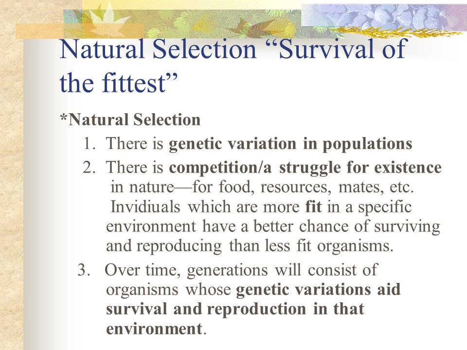 Survival of the Fittest vs. Natural Selection