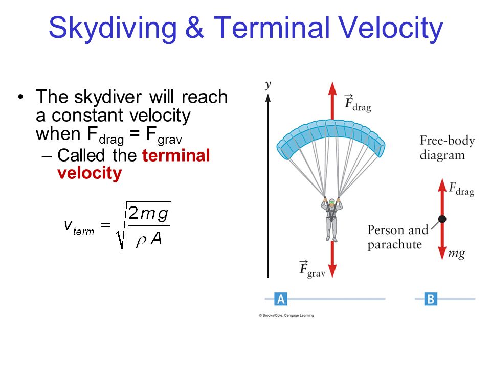Draw A Free Body Diagram Of The System Skydiver Parachute - Wiring