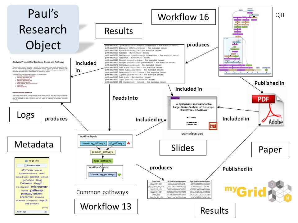 Results Logs Results Metadata Paper Slides Feeds into produces Included in produces Published in produces Included in Published in Workflow 16 Workflow 13 Common pathways QTL Paul’s Pack Paul’s Research Object