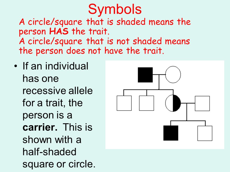 Pedigree Chart Shaded Circle Would Represent