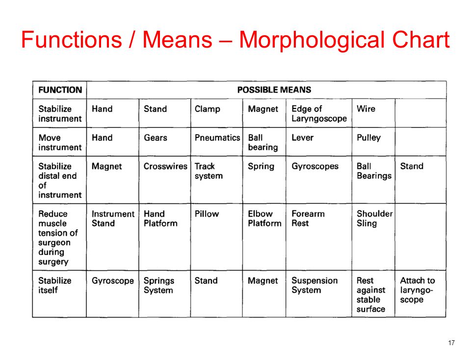 Morphology Development Chart