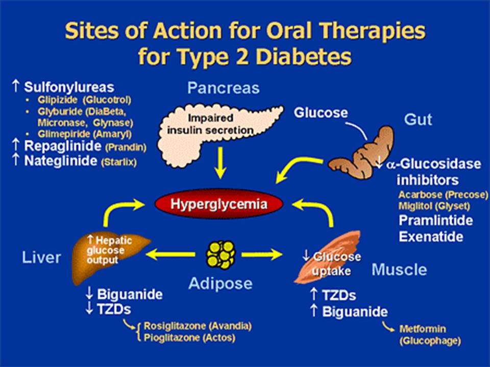 Action site. Прамлинтид механизм действия. Be Base excess сахарный диабет. Metformin and obesity.
