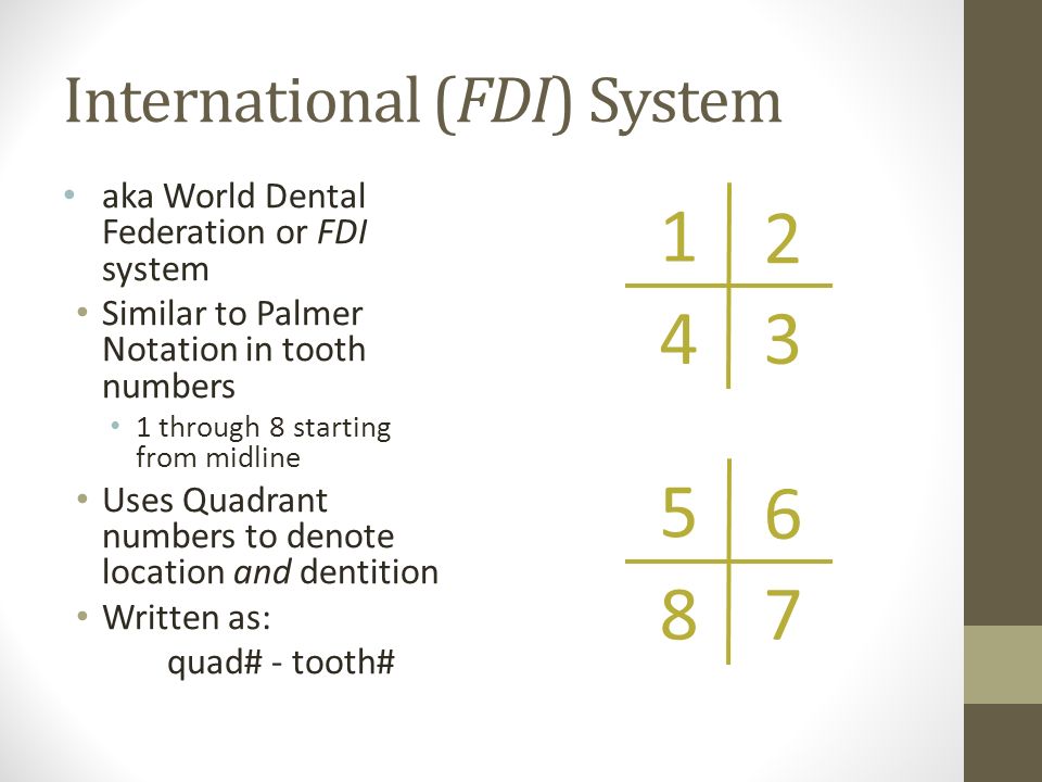 Dental Nomenclature I Rsd 811 Session 2 Introduction Tooth