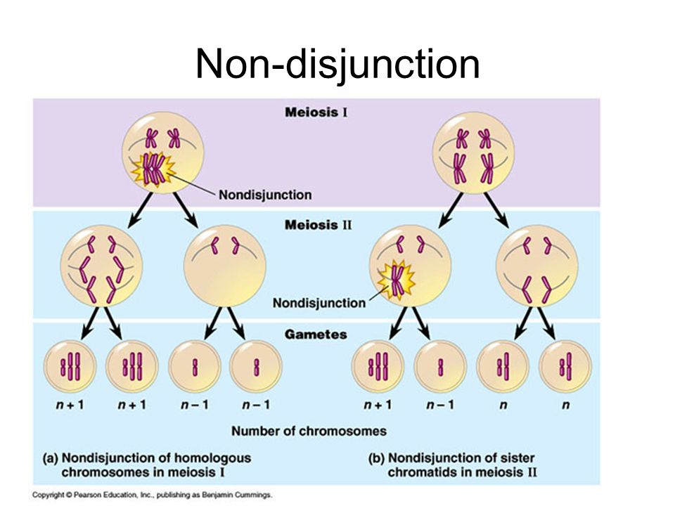 Non-disjunction