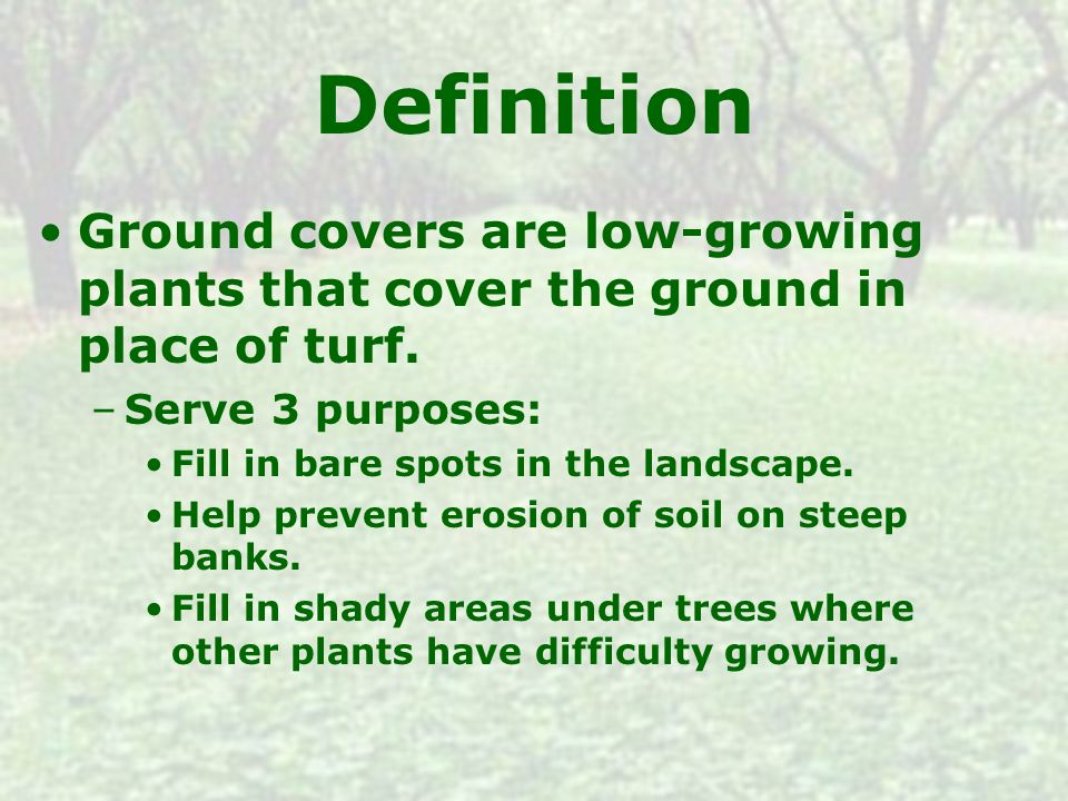 Ground Covers Original Powerpoint Created By Howard Henderson Modified By The Georgia Agricultural Education Curriculum Office June Ppt Download