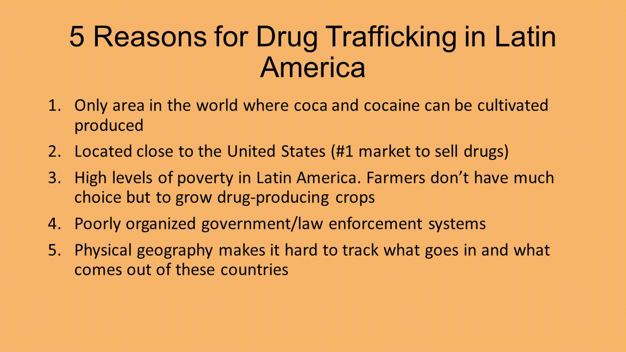 causes for drug trafficking