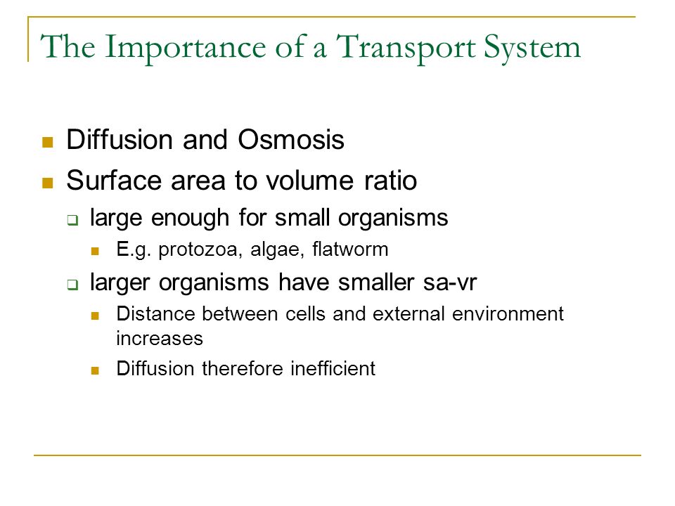 Transport in Animals May The Importance of a Transport System Exchange  materials with external environment Materials are  taken in  distributed.  - ppt download