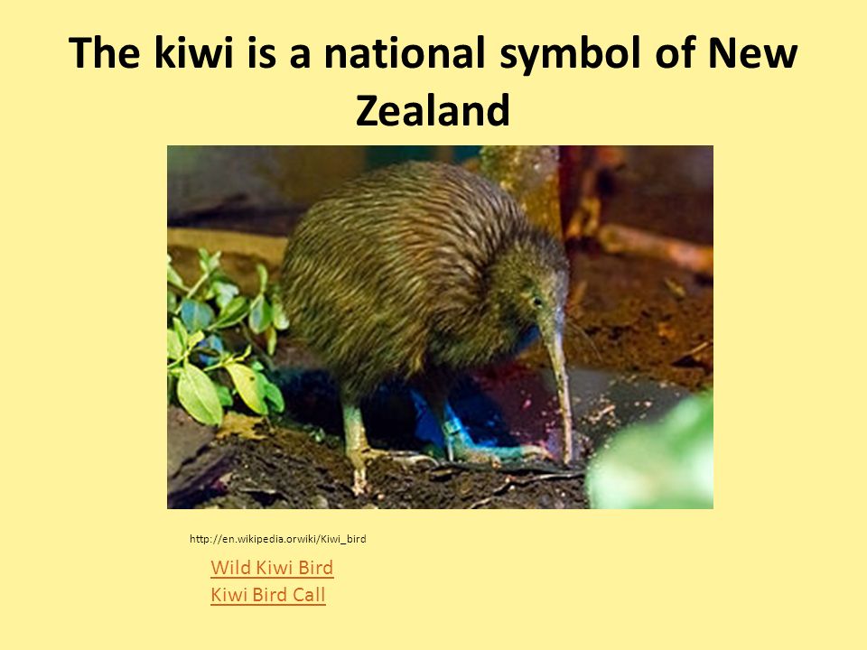 New Zealand Hille Tamkivi Land of the long white cloud - ppt download