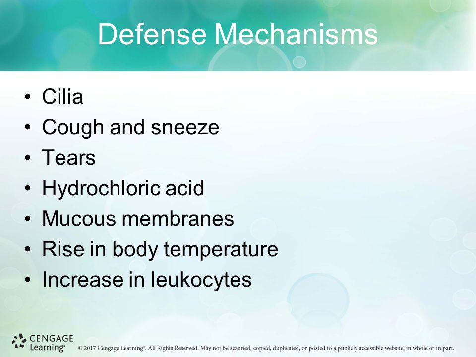 Defense Mechanisms Cilia Cough and sneeze Tears Hydrochloric acid Mucous membranes Rise in body temperature Increase in leukocytes