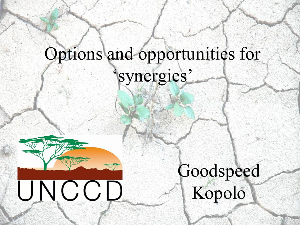 Options and opportunities for ‘synergies’ Goodspeed Kopolo