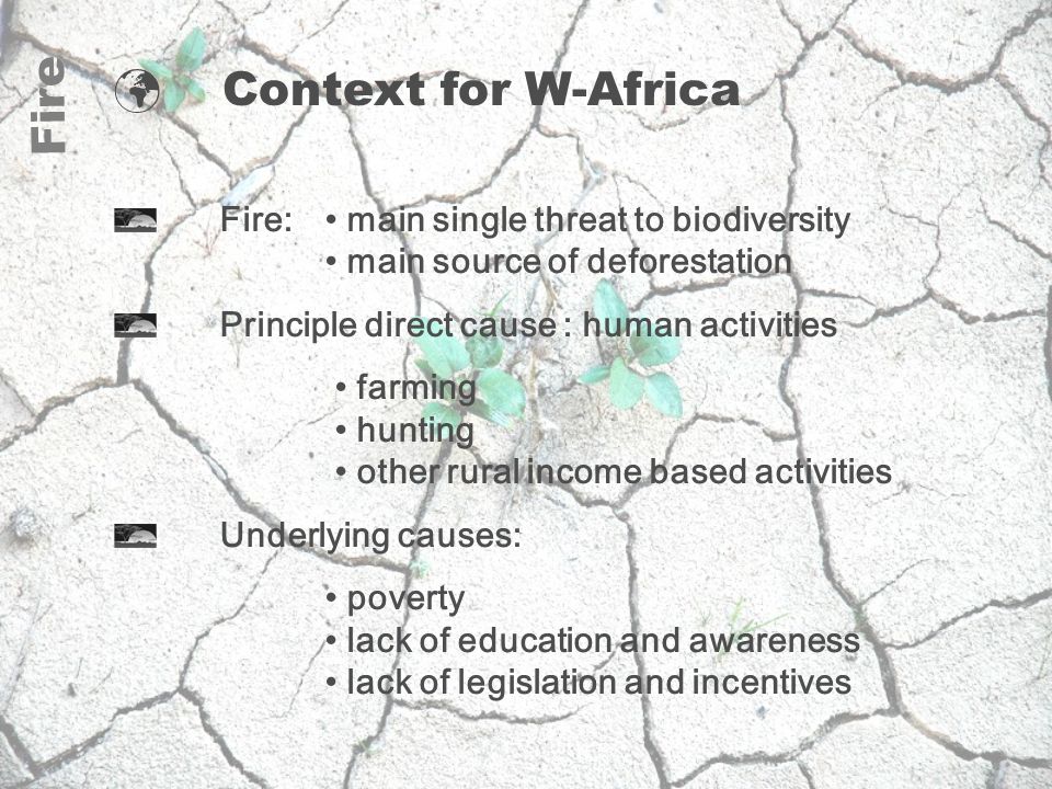 Fire Context for W-Africa Fire: main single threat to biodiversity main source of deforestation Principle direct cause : human activities farming hunting other rural income based activities Underlying causes: poverty lack of education and awareness lack of legislation and incentives