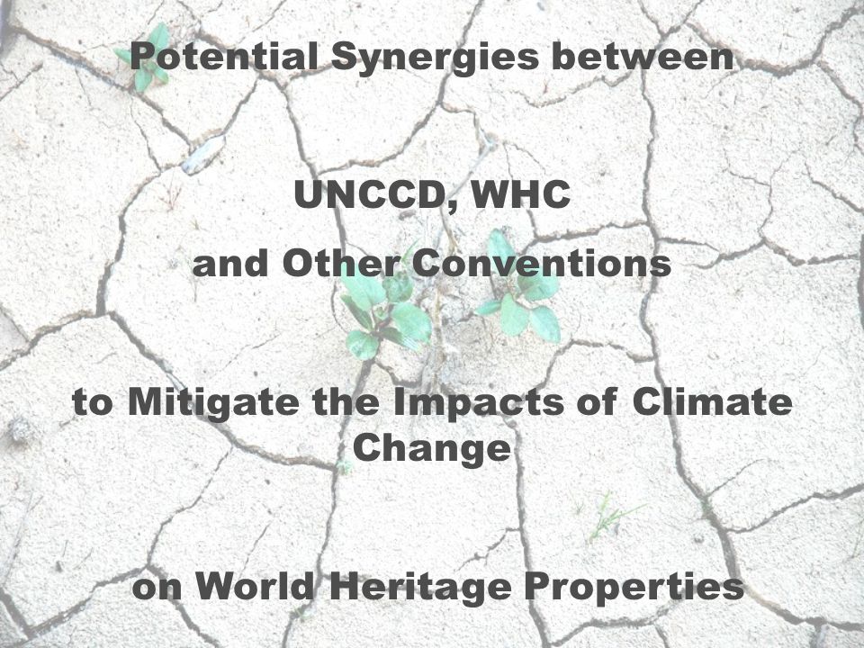 Potential Synergies between UNCCD, WHC and Other Conventions to Mitigate the Impacts of Climate Change on World Heritage Properties