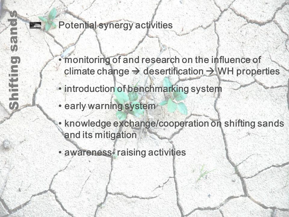 Potential synergy activities monitoring of and research on the influence of climate change  desertification  WH properties introduction of benchmarking system early warning system knowledge exchange/cooperation on shifting sands and its mitigation awareness- raising activities