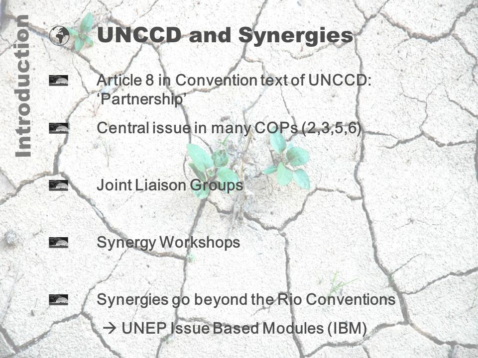 Introduction UNCCD and Synergies Article 8 in Convention text of UNCCD: ‘Partnership’ Central issue in many COPs (2,3,5,6) Joint Liaison Groups Synergy Workshops Synergies go beyond the Rio Conventions  UNEP Issue Based Modules (IBM)