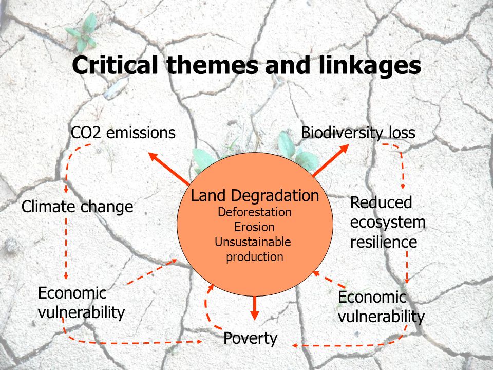 Critical themes and linkages Land Degradation Deforestation Erosion Unsustainable production CO2 emissionsBiodiversity loss Poverty Climate change Reduced ecosystem resilience Economic vulnerability