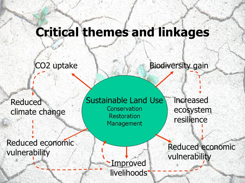 Critical themes and linkages Sustainable Land Use Conservation Restoration Management CO2 uptakeBiodiversity gain Improved livelihoods Reduced climate change increased ecosystem resilience Reduced economic vulnerability