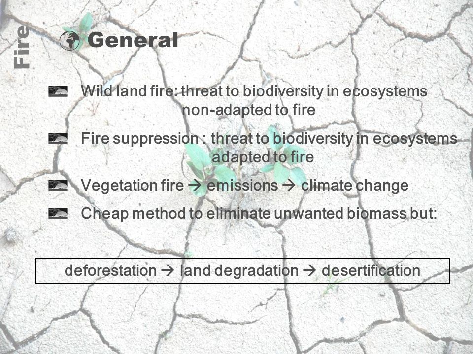 General Wild land fire: threat to biodiversity in ecosystems non-adapted to fire Fire suppression : threat to biodiversity in ecosystems adapted to fire Vegetation fire  emissions  climate change Cheap method to eliminate unwanted biomass but: Fire deforestation  land degradation  desertification