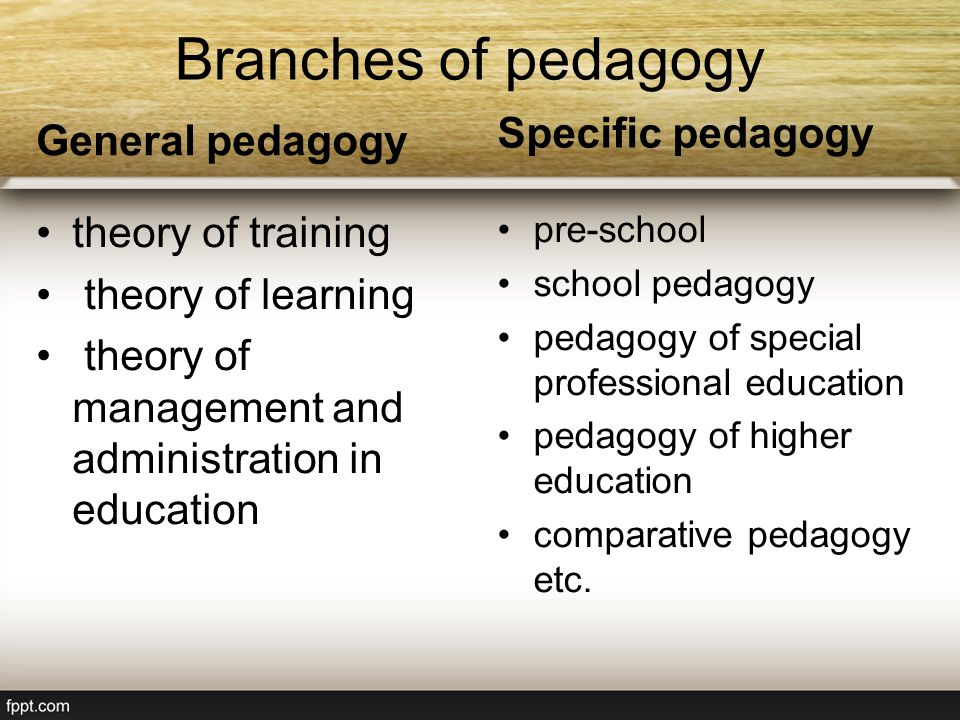 Theories of education. Pedagogy as a Science. Pedagogy and methods of professional Education. A Pedagogy of responsibility. Pedagogy in higher Education.