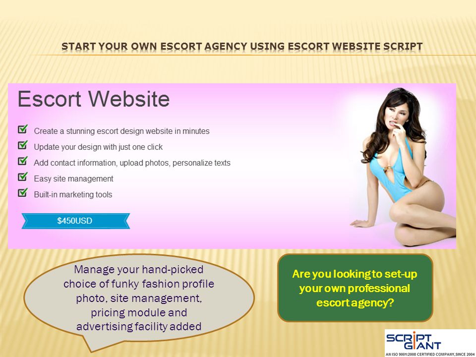 start your own escort business Start your own escort business