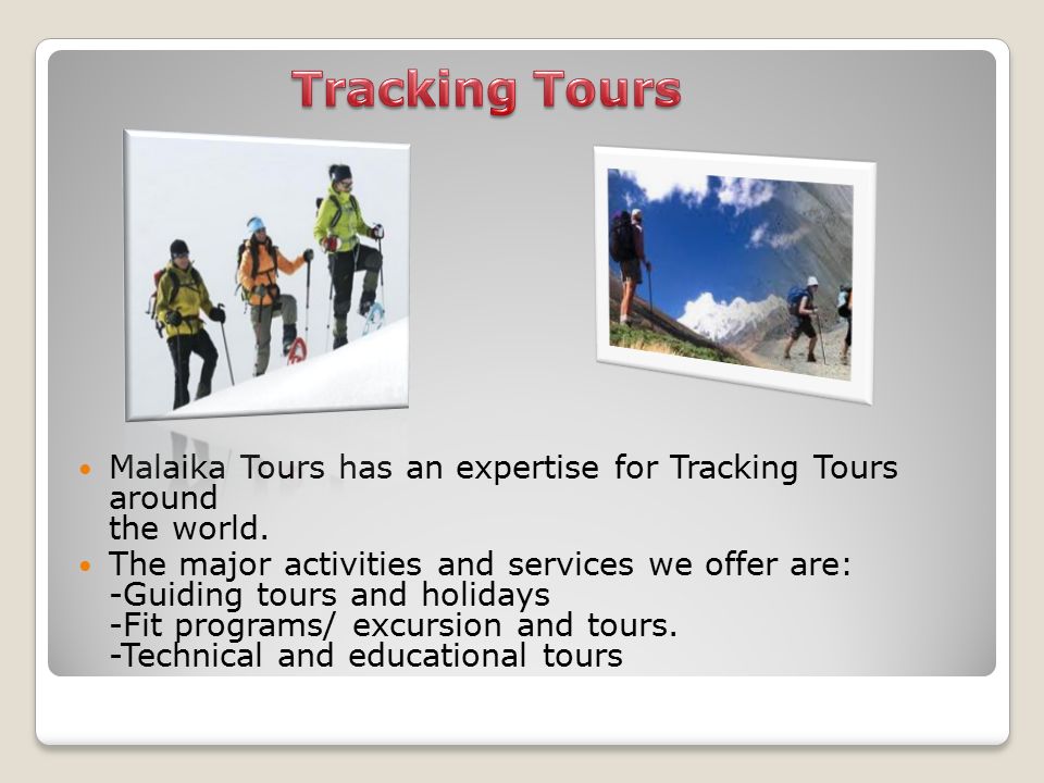 Malaika Tours has an expertise for Tracking Tours around the world.