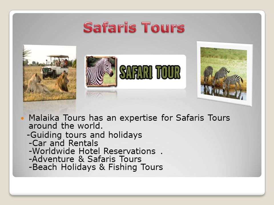 Malaika Tours has an expertise for Safaris Tours around the world.