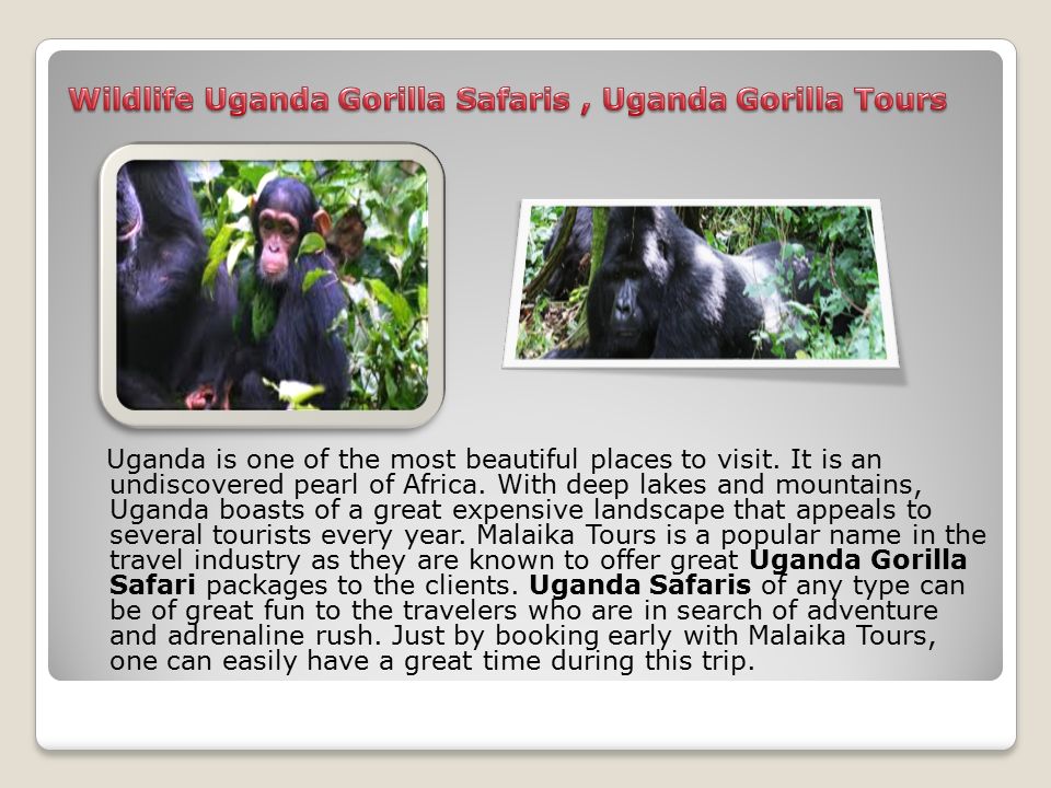 Uganda is one of the most beautiful places to visit.
