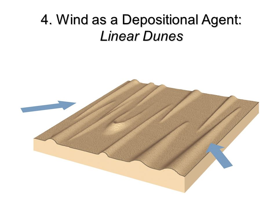 4. Wind as a Depositional Agent: Linear Dunes