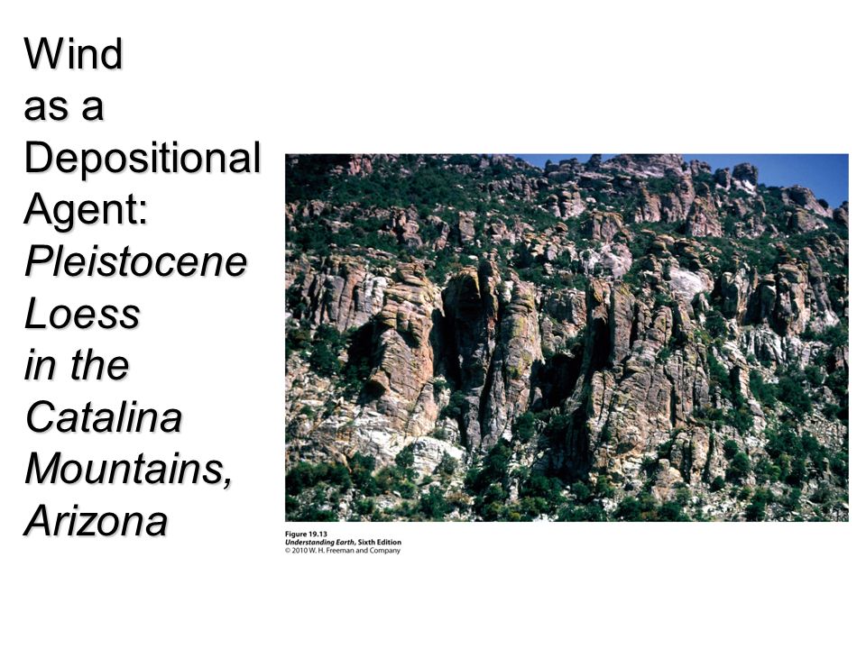 Wind as a DepositionalAgent:PleistoceneLoess in the CatalinaMountains,Arizona