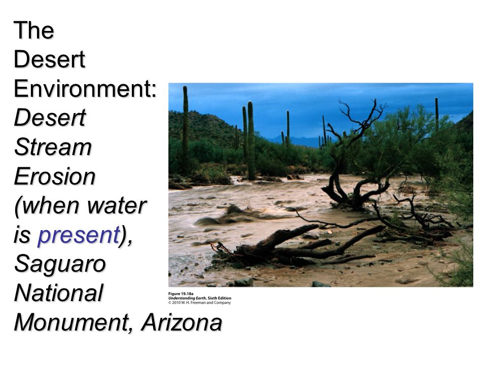 TheDesertEnvironment:DesertStreamErosion (when water is present), SaguaroNational Monument, Arizona