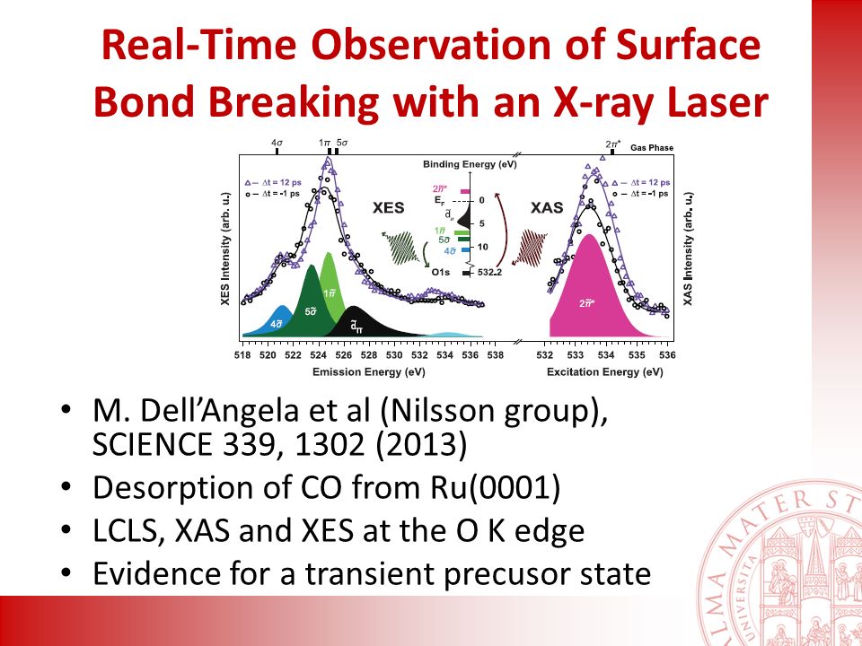 Real-Time Observation of Surface Bond Breaking with an X-ray Laser M.