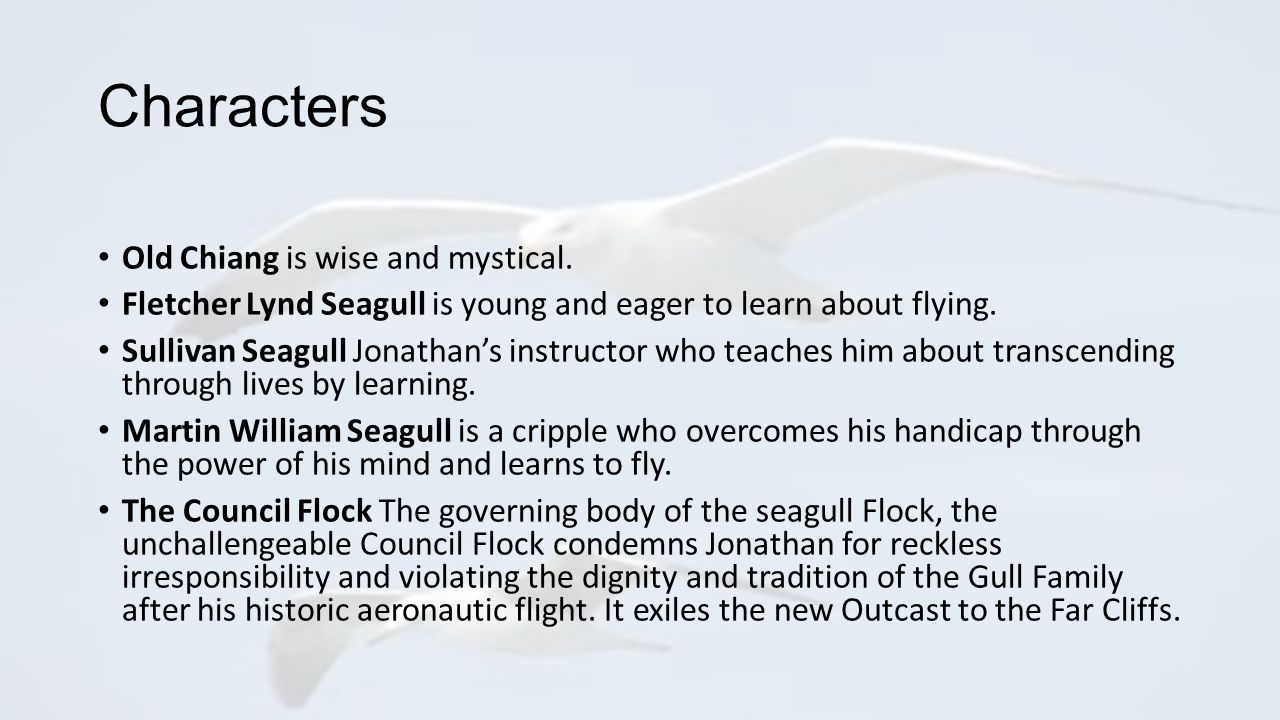 jonathan livingston seagull characters and their characteristics