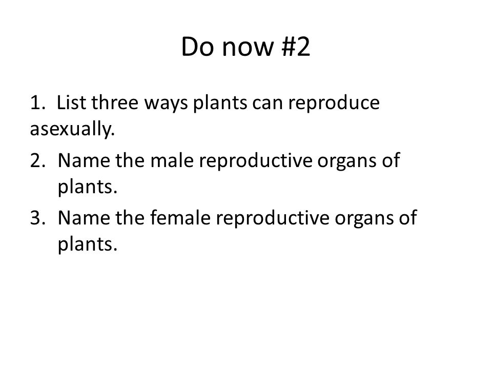 Reproduction In flowering Plants. Do now 2 1. List three ways plants