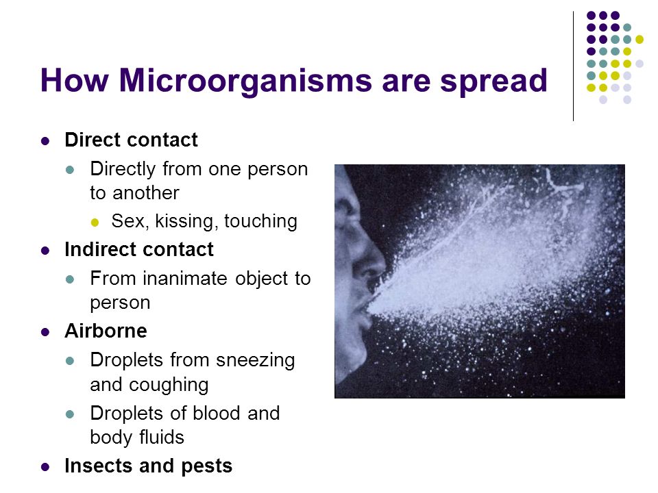 How Microorganisms are spread Direct contact Directly from one person to another Sex, kissing, touching Indirect contact From inanimate object to person Airborne Droplets from sneezing and coughing Droplets of blood and body fluids Insects and pests