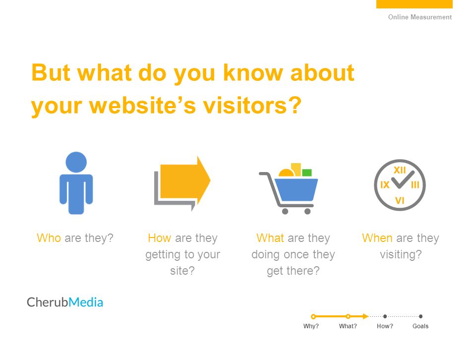 But what do you know about your website’s visitors.