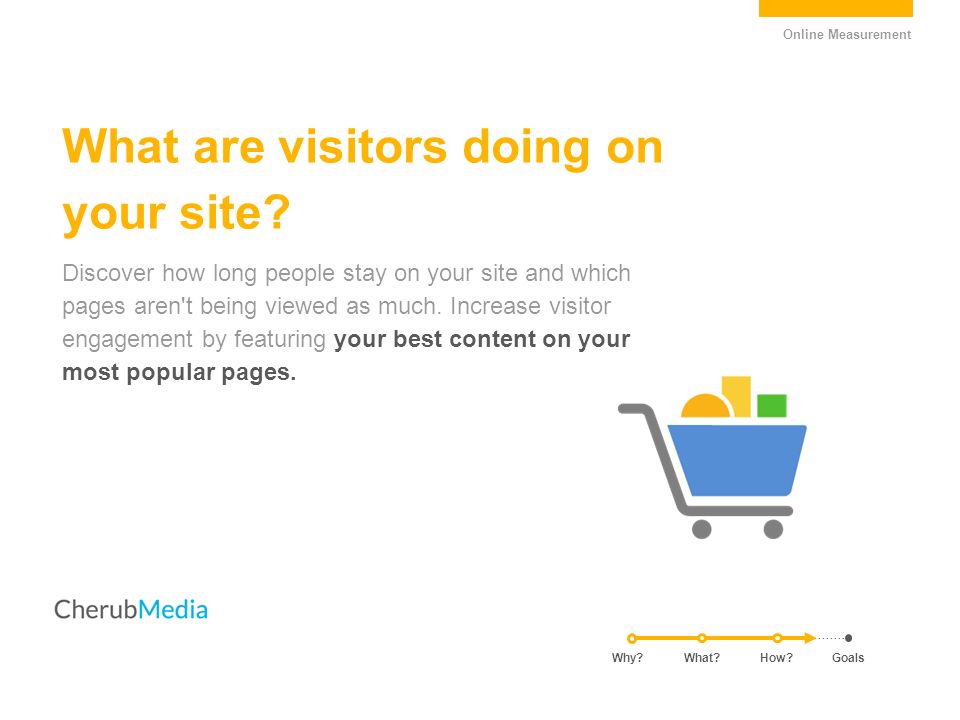What are visitors doing on your site.