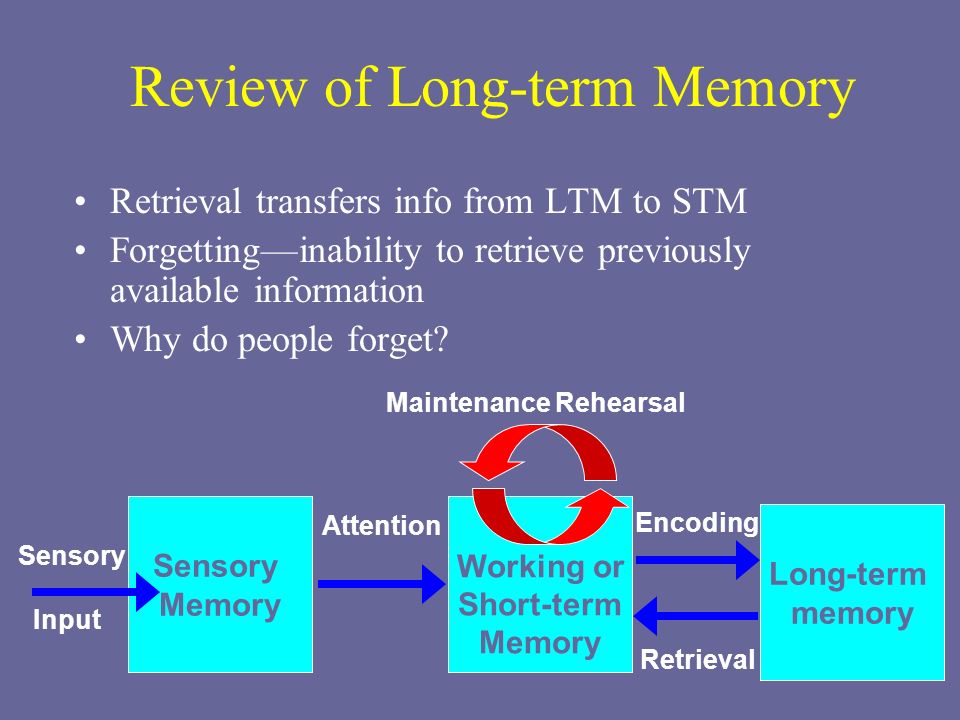 Short memory. Long term Memory. Short term Memory. Short term Memory and long term Memory in Comp. Short-term/working Memory.