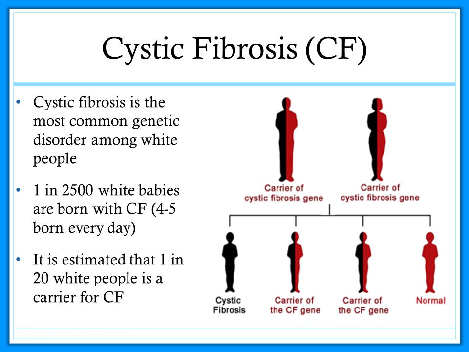 human genetic sex disorders Pointy breast tgp