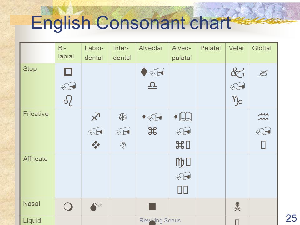 Reviving Sonus 1 Phonology The Sound Pattern Of Language Semester 2 03 Introduction To English Linguistics Ppt Download Reviving Sonus 1 Phonology The Sound Pattern Of Language Semester 2 03 Introduction To English Linguistics Ppt Download
