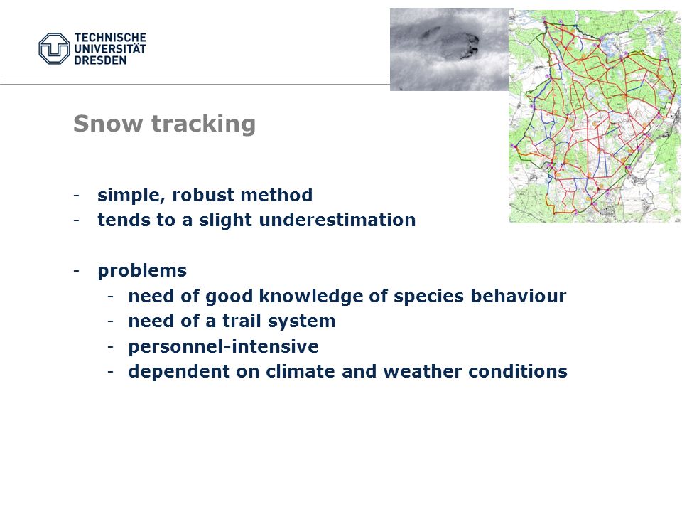 Snow tracking -simple, robust method -tends to a slight underestimation -problems -need of good knowledge of species behaviour -need of a trail system -personnel-intensive -dependent on climate and weather conditions