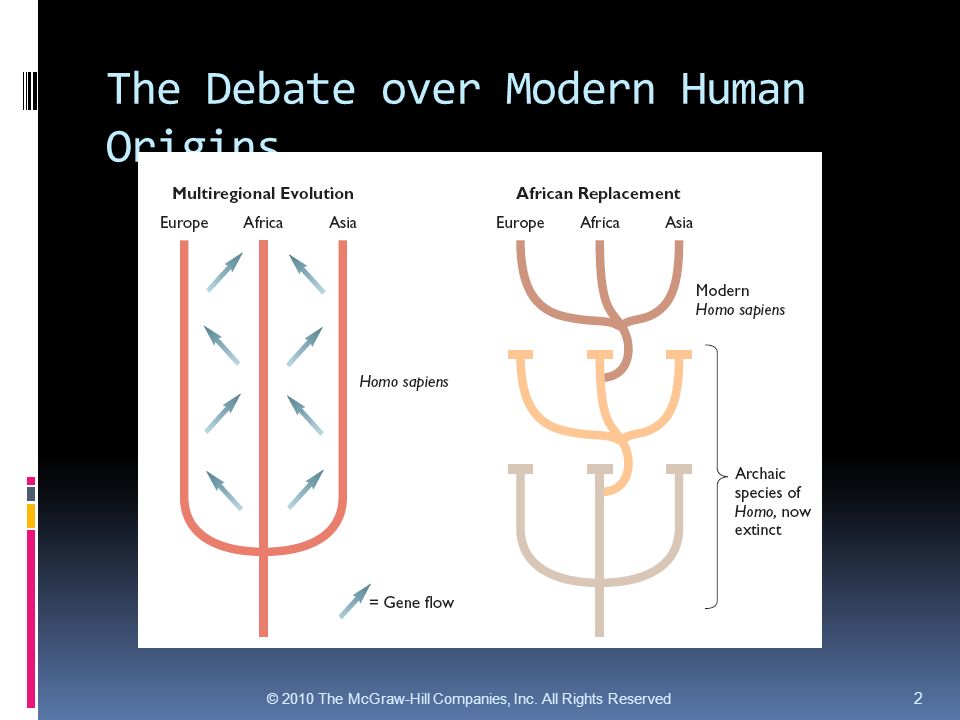 THE ORIGIN DEBATE