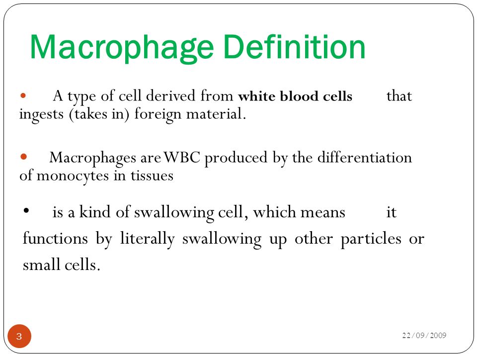 Department Of Pharmaceutics Macrophages Macrophage Ppt Download