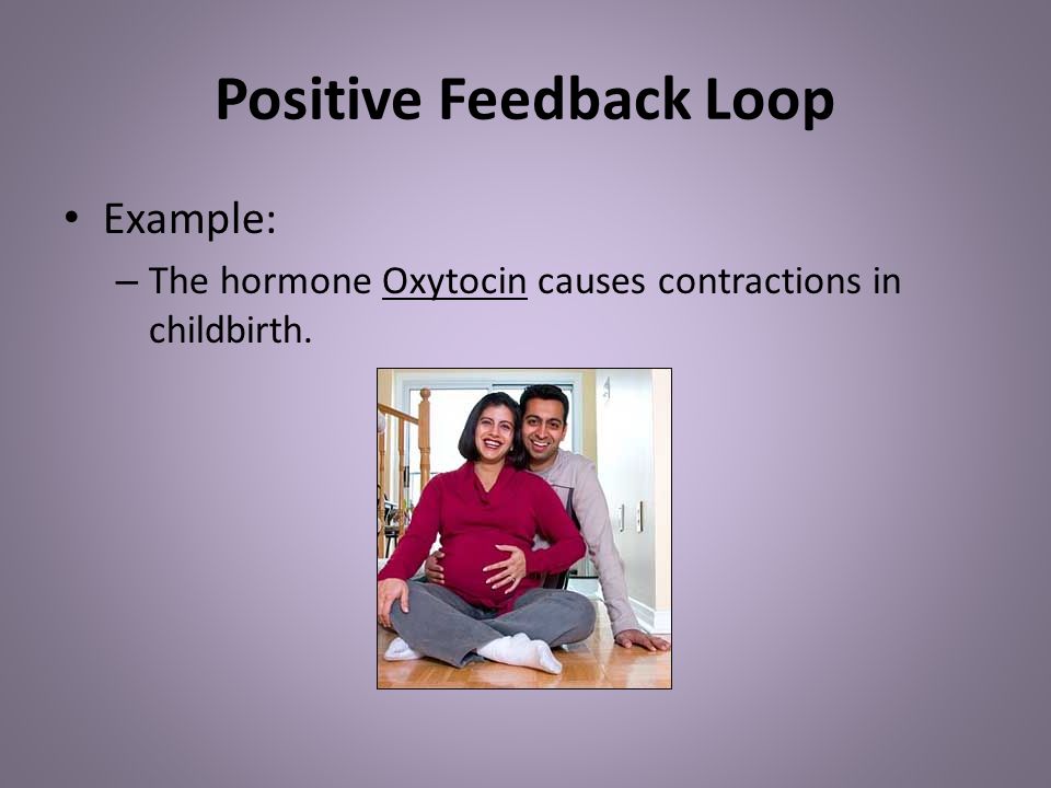 Positive Feedback Loop Example: – The hormone Oxytocin causes contractions in childbirth.