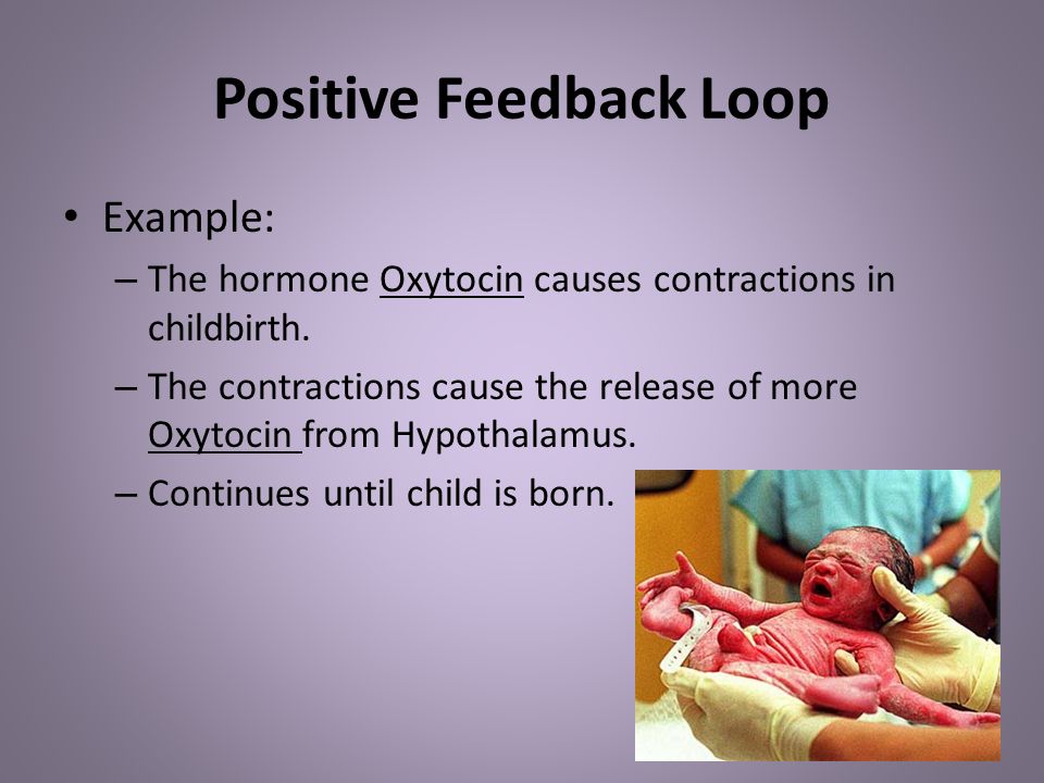 Positive Feedback Loop Example: – The hormone Oxytocin causes contractions in childbirth.