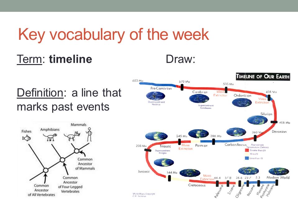 Key vocabulary of the week Term: timeline Definition: a line that marks past events Draw: