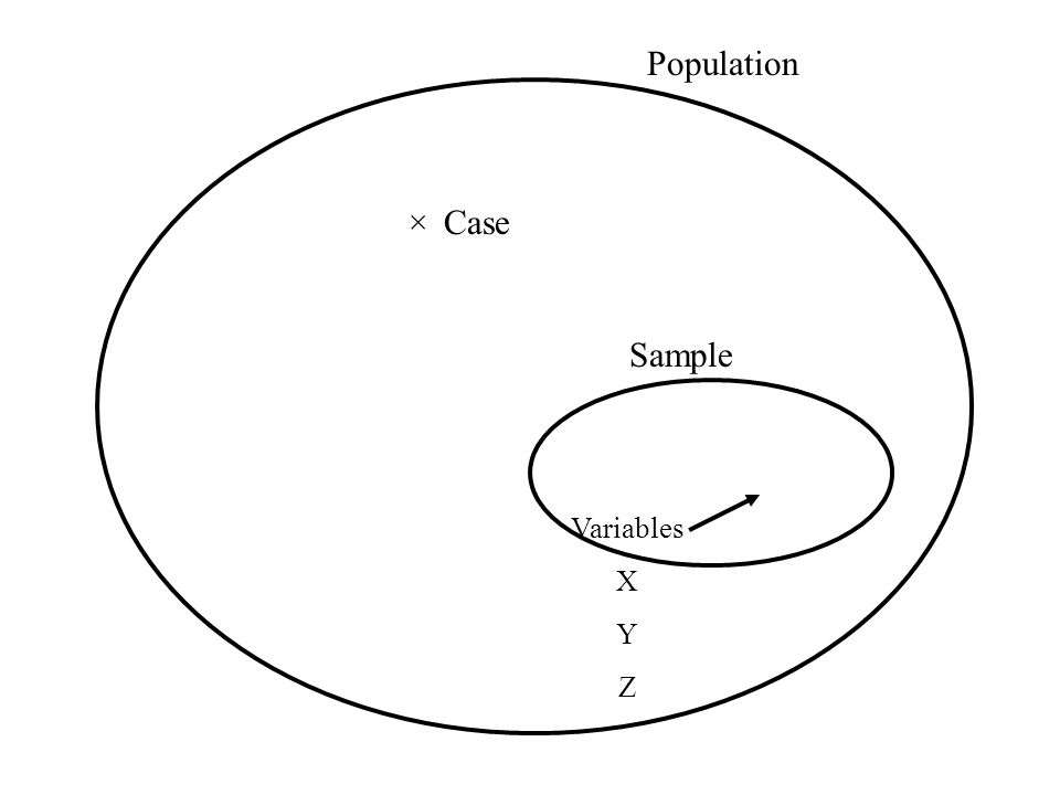 Population Sample Case× Variables X Y Z