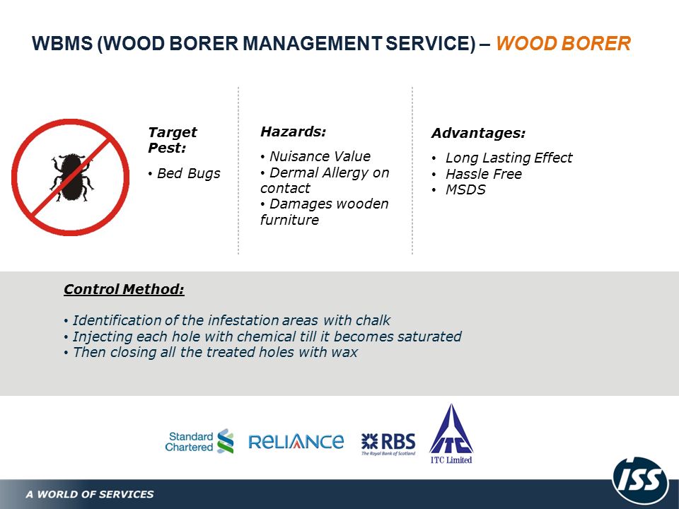 WBMS (WOOD BORER MANAGEMENT SERVICE) – WOOD BORER Target Pest: Bed Bugs Hazards: Nuisance Value Dermal Allergy on contact Damages wooden furniture Advantages: Long Lasting Effect Hassle Free MSDS Control Method: Identification of the infestation areas with chalk Injecting each hole with chemical till it becomes saturated Then closing all the treated holes with wax