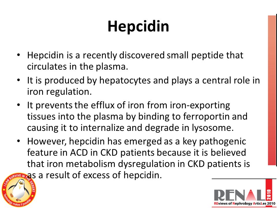 Hepcidin Hepcidin is a recently discovered small peptide that circulates in the plasma.